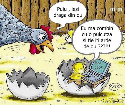 Diverse - 6017335727212527483741775065970n.jpg